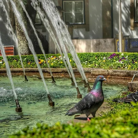 Casa Da Avó Zirinha Casa de Férias Viseu